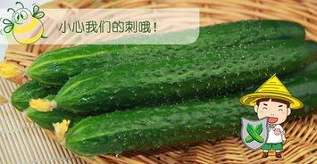 佳悦吃瓜,揭秘娱乐圈幕后故事