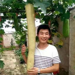 农村小伙吃瓜视频,趣味视频走红网络