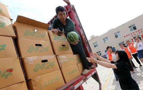 郑州父女吃瓜,一场意外的网络狂欢