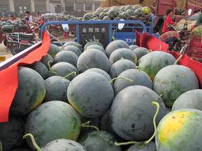 现代吃瓜心理,一场全民参与的娱乐盛宴