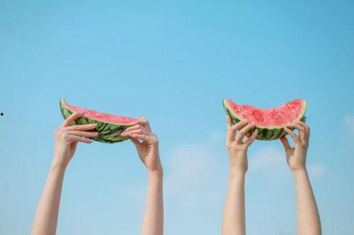 拉丁舞吃瓜,揭秘舞池中的“吃瓜”风云