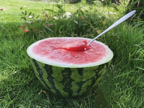 游娱吃瓜,揭秘娱乐圈那些不为人知的幕后故事