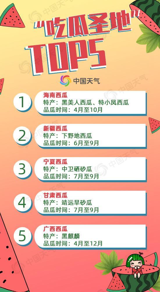 怎么回复吃瓜式阅读,揭秘吃瓜式阅读背后的心理奥秘