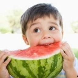 嘎嘎吃瓜张玉小说