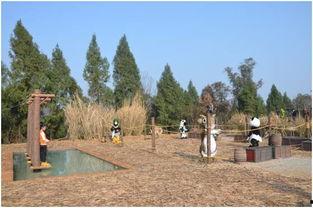 吃瓜群众森林漫步,揭秘“吃瓜群众”的趣味生活