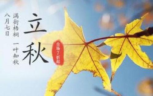 立秋吃瓜文案简短,瓜果飘香，尽享丰收美味