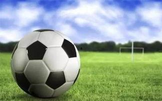 足球吃瓜直播麦子,麦子带你领略足球魅力