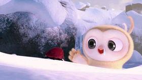 吃瓜搞笑神器视频,带你领略欢乐瞬间