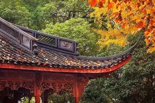 吃瓜西湖,品味夏日清凉美食之旅