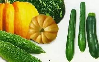 西风瓜怎么吃,解锁美味新体验